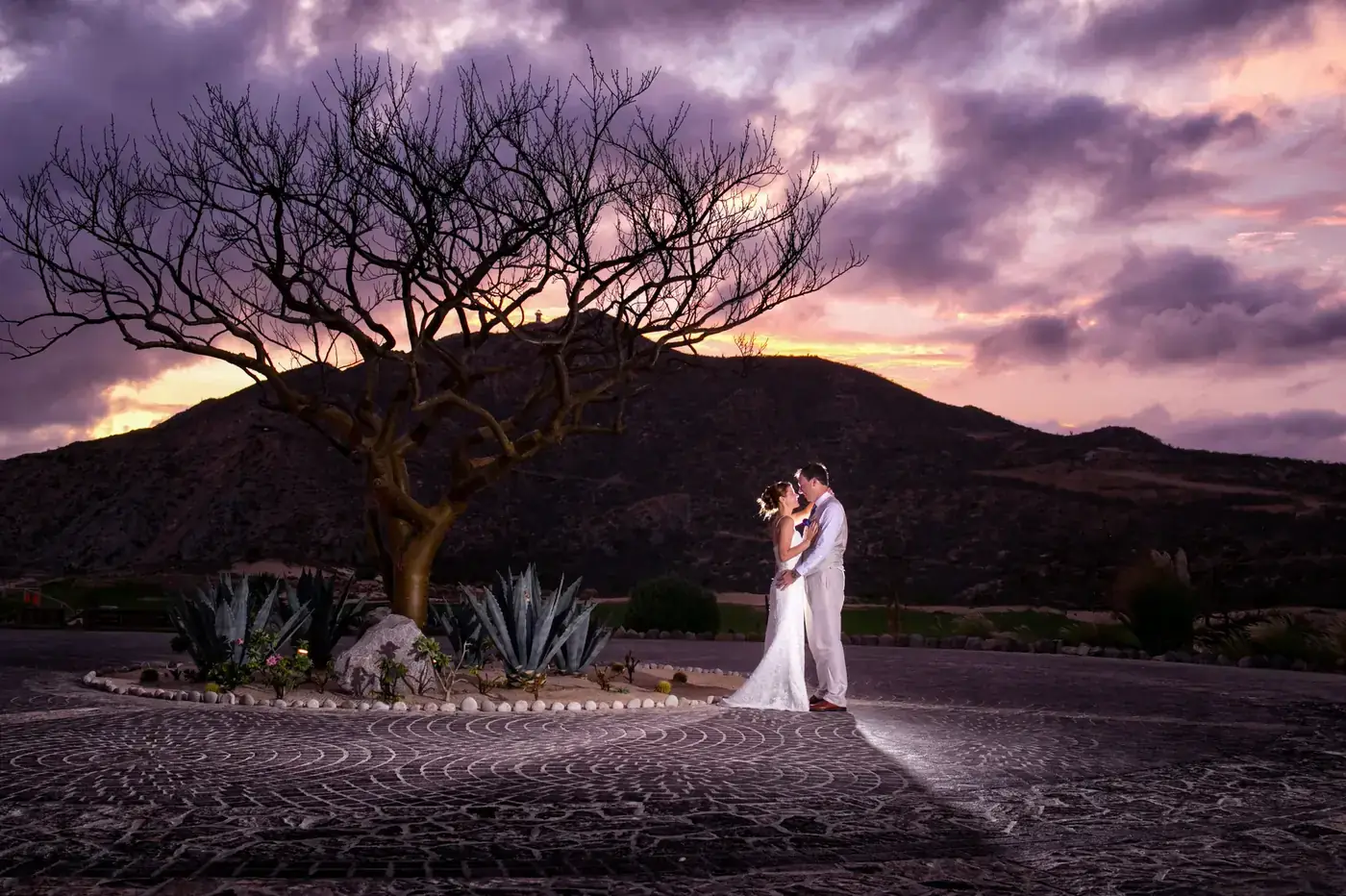 Wedding couple at a dramatic purple sunset in Los Cabos